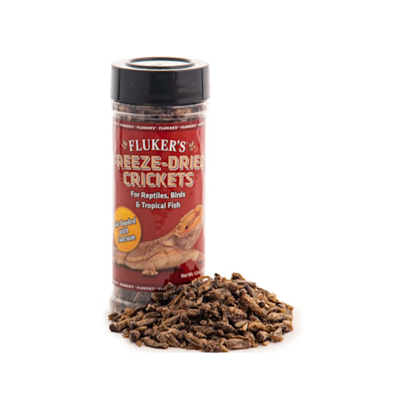 1.2 Oz. Freeze-Dried Crickets