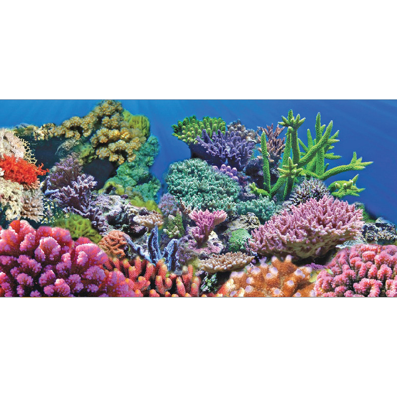 Aquarium Background